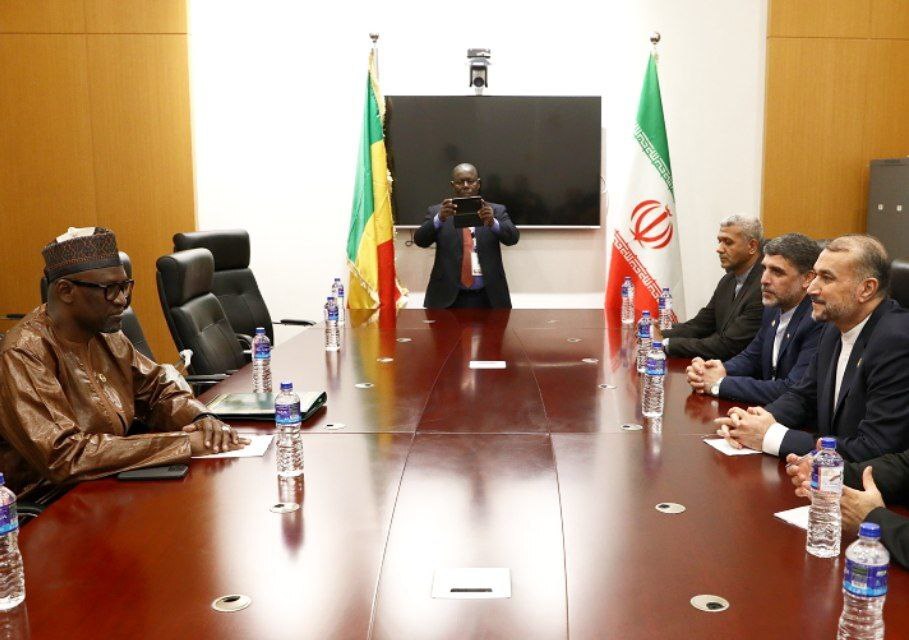 اجلاس سران سازمان همکاری اسلامی در بانجول؛ امیرعبداللهیان با همتایان مصری و عربستانی گفت‌وگو کرد