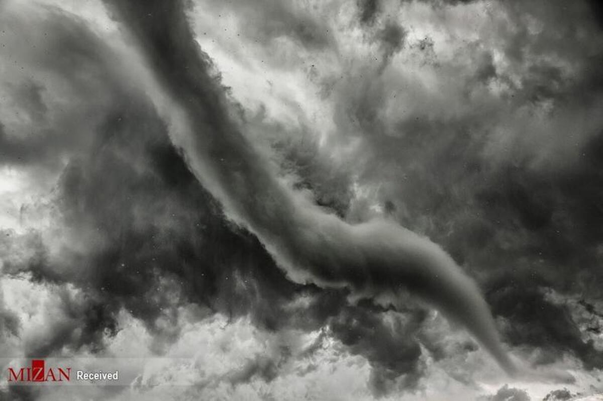 احتمال خسارت به باغداران استان تهران