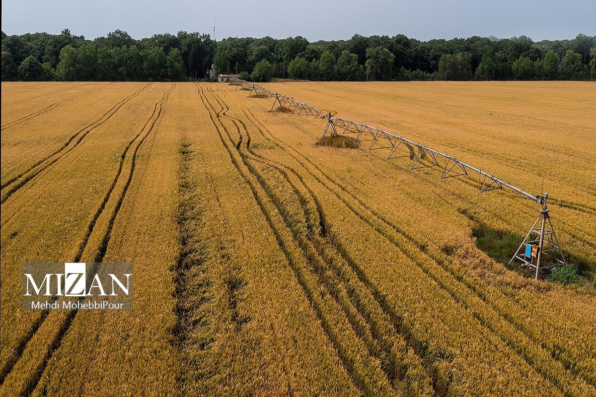 هشدار مدیریت بحران استان تهران مبنی بر احتمال خسارت به باغداران هشدار مدیریت بحران استان تهران مبنی بر احتمال خسارت به باغداران