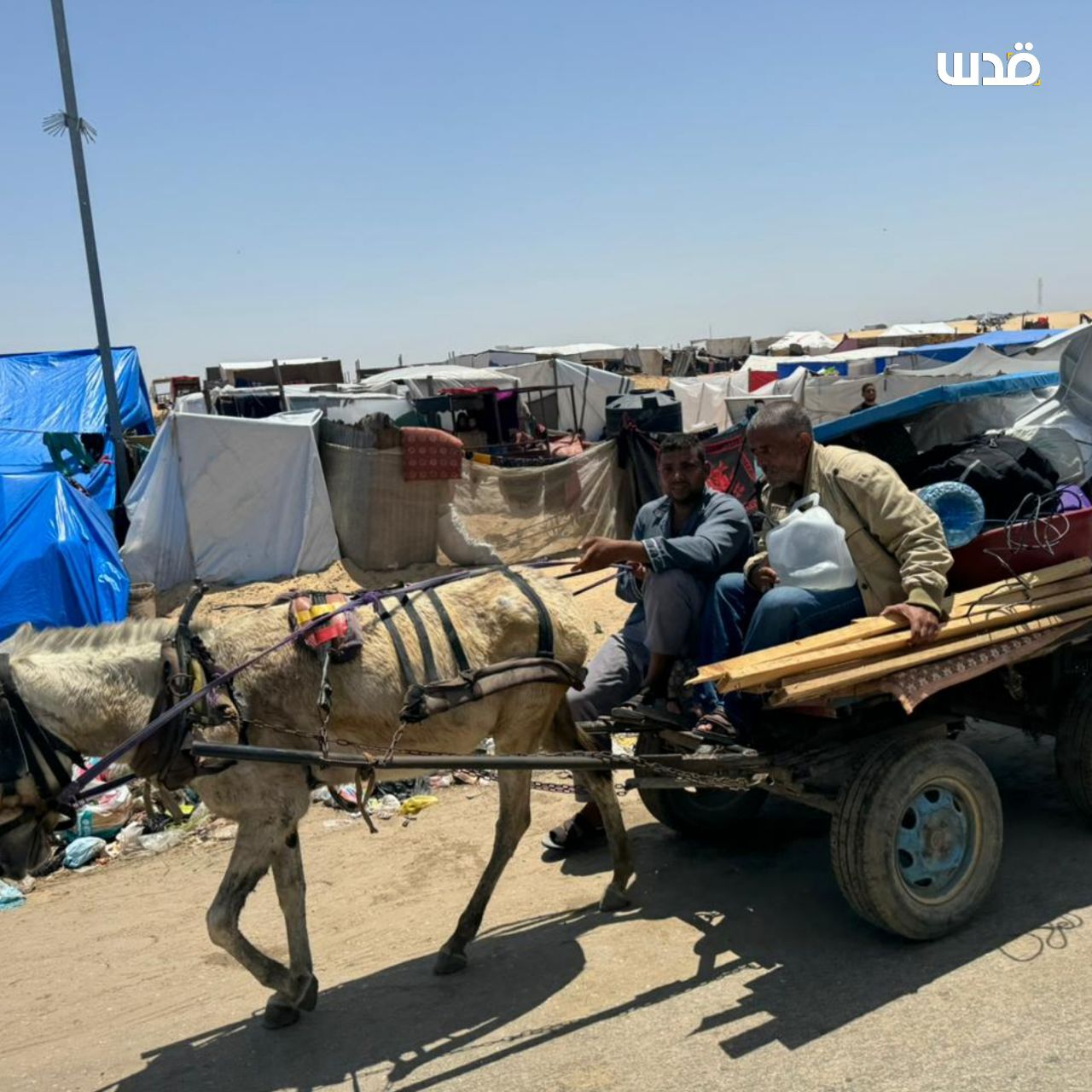 حملات رژیم صهیونیستی به اردوگاه جبالیا/ آژیر هشدار در شهرک های صهیونیست نشین به صدا درآمد