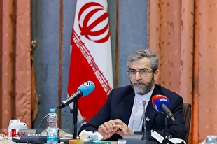 باقری: اطمینان داریم زوار ایرانی در امنیت و آرامش آیین حج را به جا می‌آورند