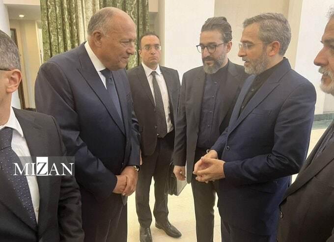 وزیر خارجه مصر وارد ایران شد