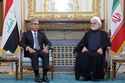 دیدار رئیس قوه قضاییه با رئیس شورای عالی قضایی عراق