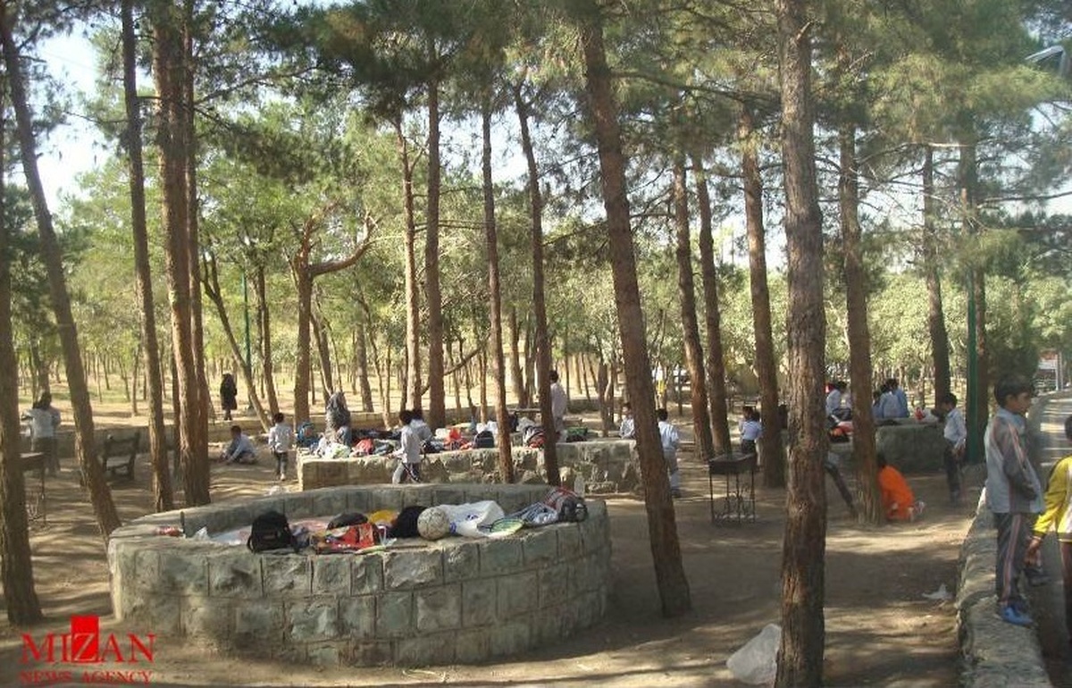 کمبود آب یا تاخیر در آب‌رسانی؛ مشکل درختان چیتگر چیست؟