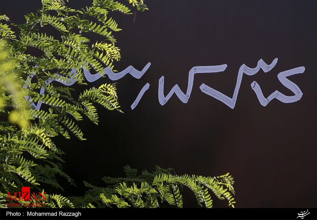 «سیمرغ» در سایه تک درخت پر کشید/ ادای دین به زنده‌یاد کیارستمی