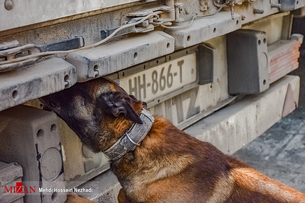 ایران؛ یکه‌تاز جریان مبارزه با بحران جهانی مواد مخدر