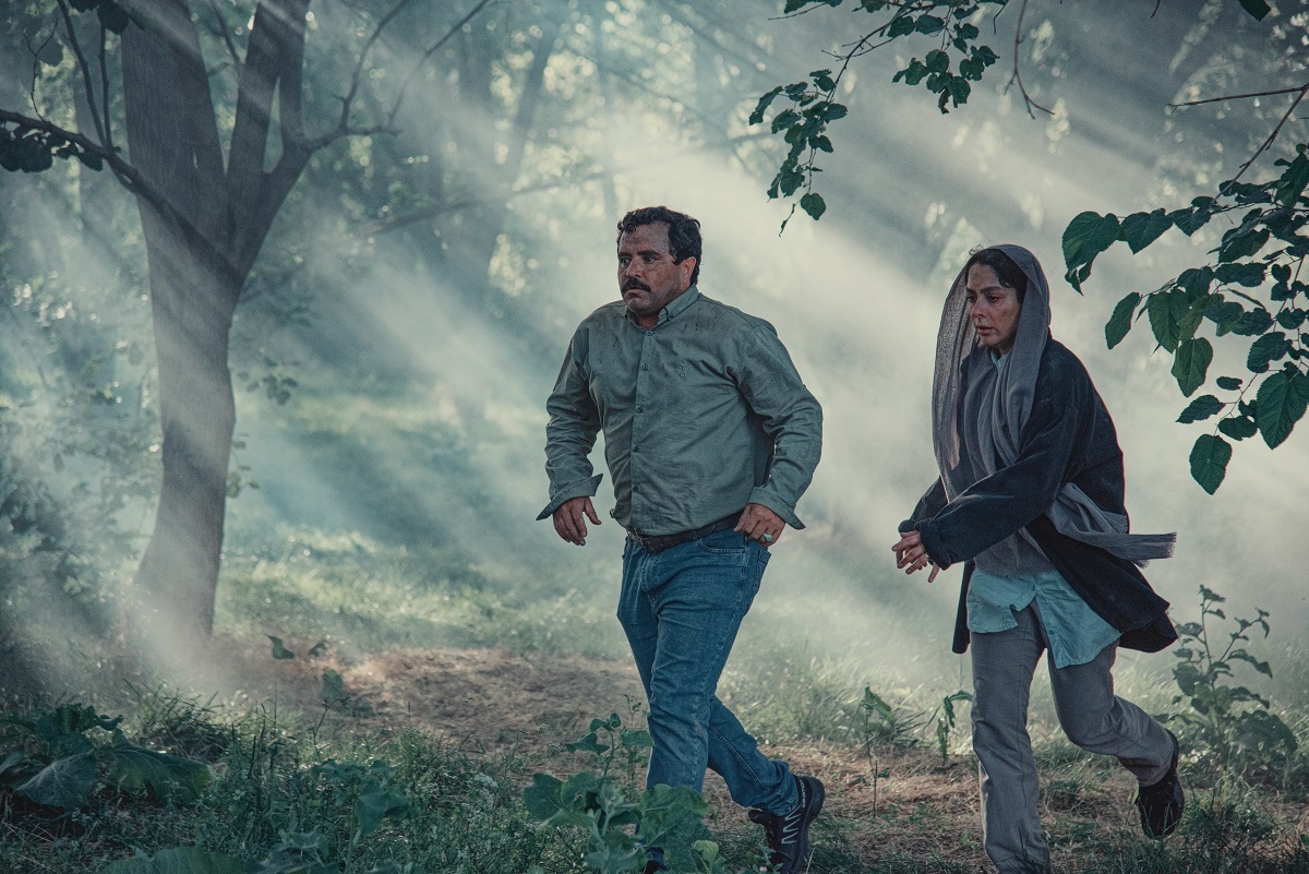 تیزر رسمی «در آغوش درخت» رونمایی شد