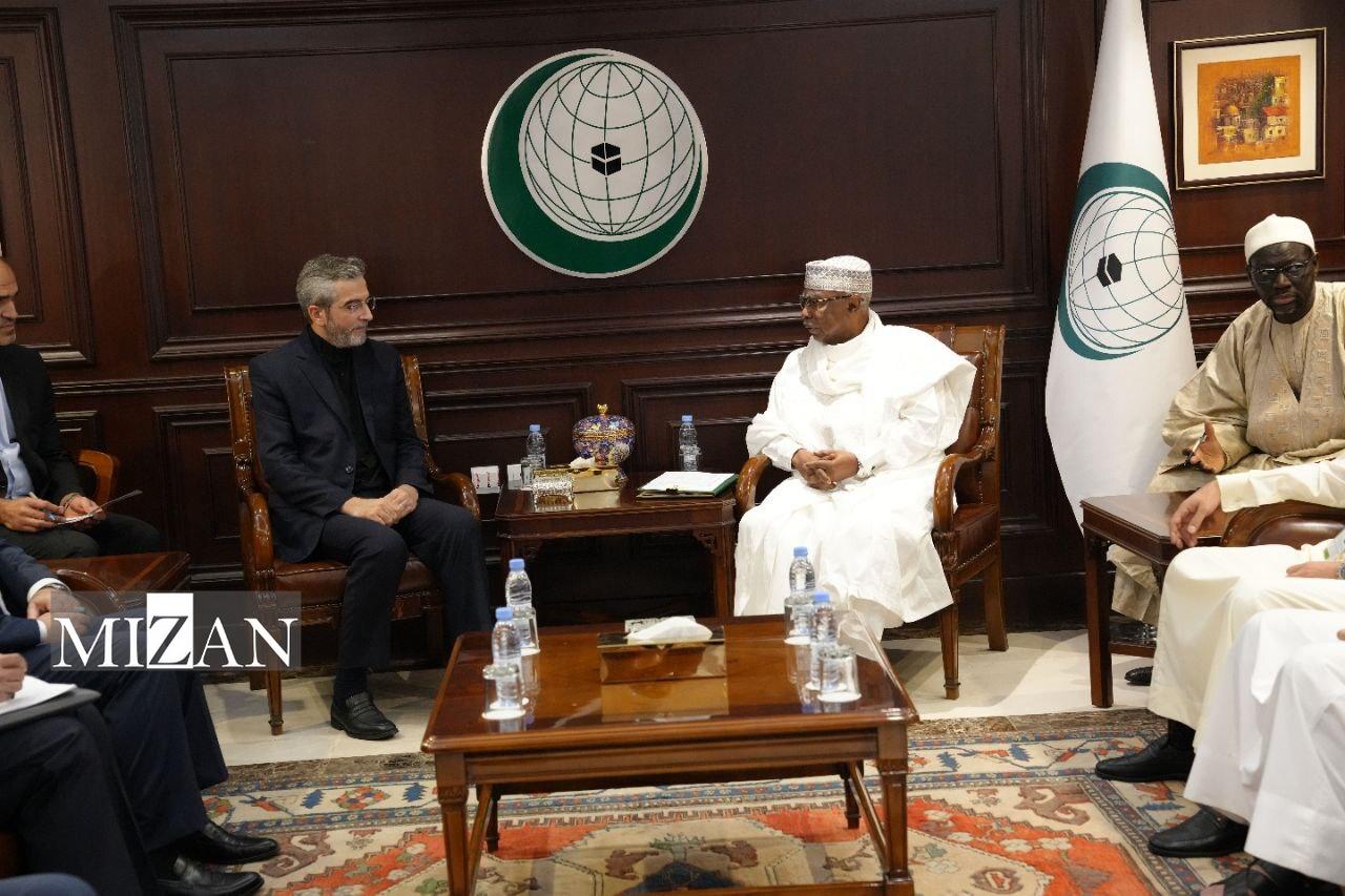 دیدار باقری با دبیرکل سازمان همکاری اسلامی