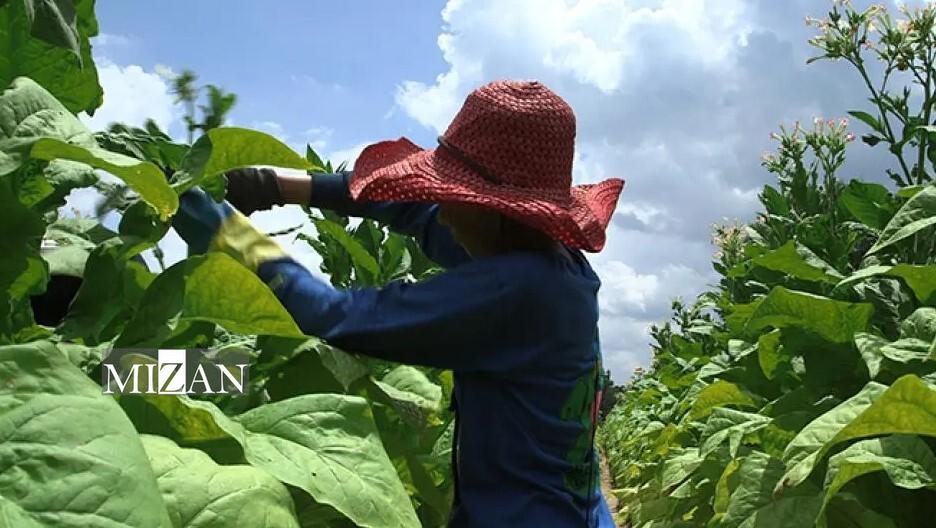 جای خالی موضوع‌های حقوق بشری در رقابت‌های انتخاباتی آمریکا؛ نگاهی به پرونده بزرگ‌ترین ناقض حقوق بشری