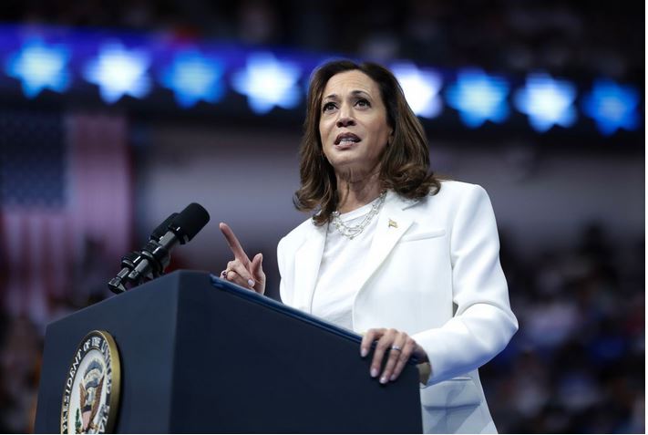 تشدید کارزارهای انتخاباتی در ایالتهای کلیدی؛ هریس از حضور ترامپ در آرلینگتون انتقاد کرد تشدید کارزارهای انتخاباتی در ایالتهای کلیدی؛ هریس از حضور ترامپ در آرلینگتون انتقاد کرد