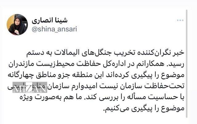 واکنش رئیس سازمان محیط زیست به خبر تخریب جنگل‌های الیمالات