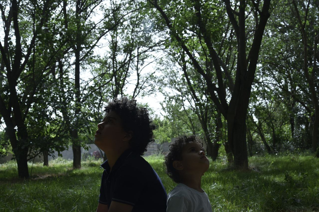 «در آغوش درخت» تازه‌ترین فیلم پرفروش اجتماعی سینماها/ اکران سیار آغاز شد