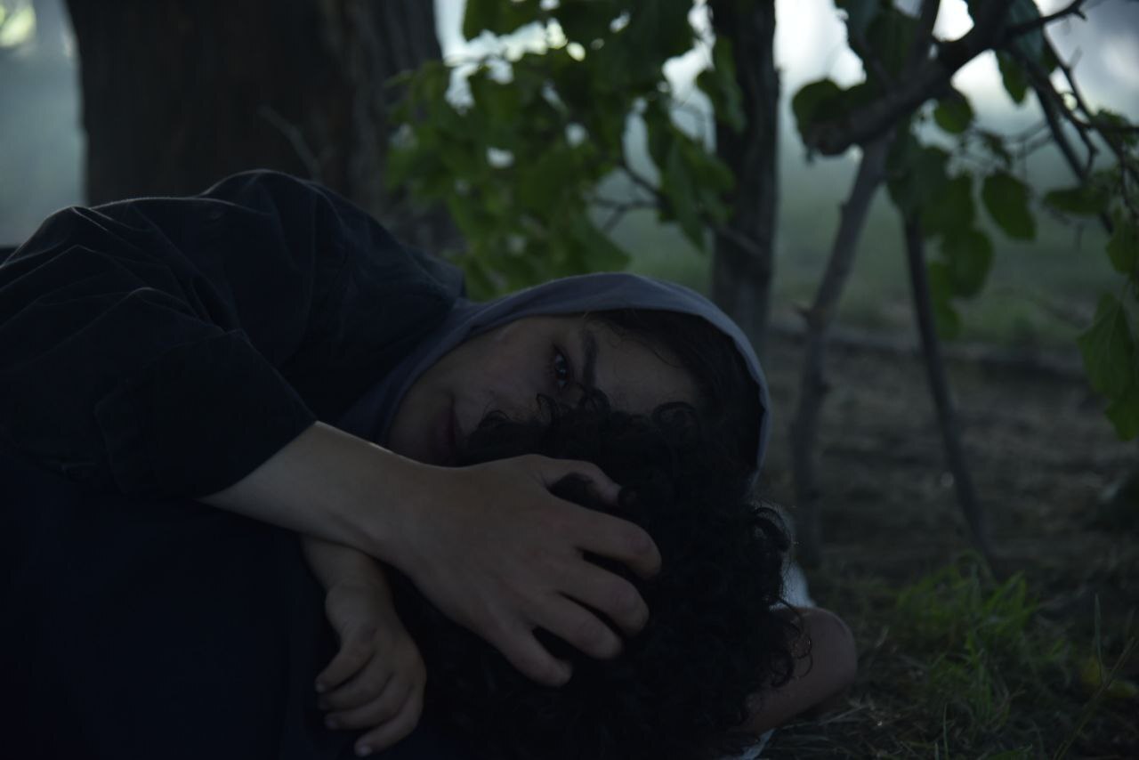 «در آغوش درخت» تازه‌ترین فیلم پرفروش اجتماعی سینماها/ اکران سیار آغاز شد