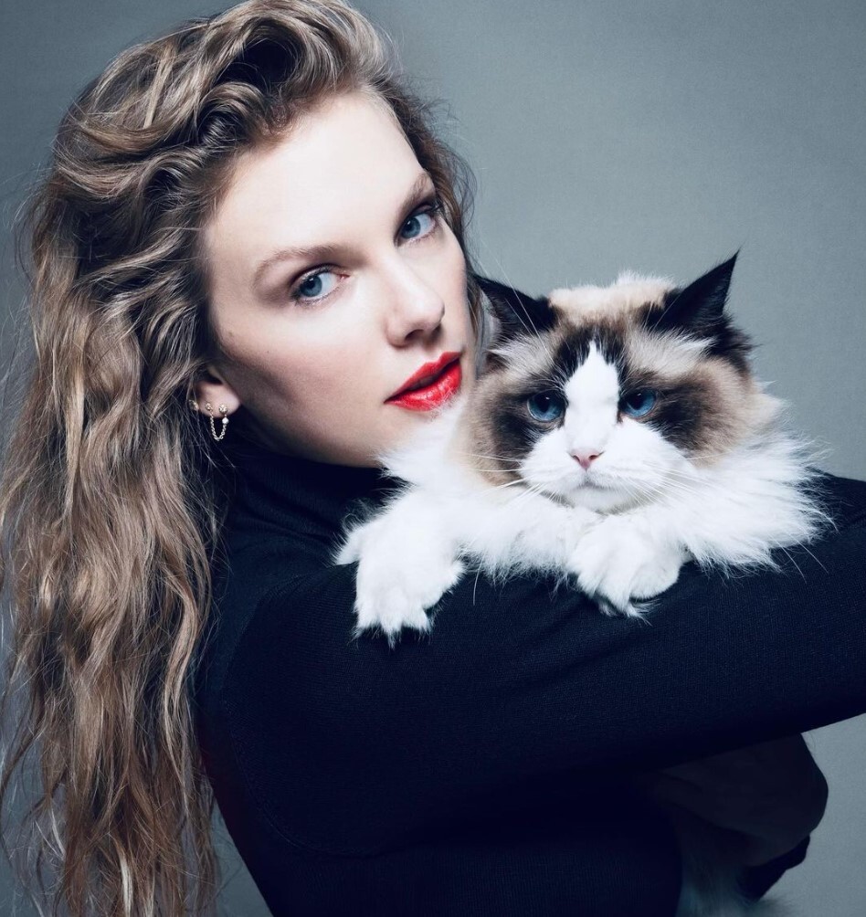 کدام سلبریتی‌ها طرفدار کاملا هریس هستند؟