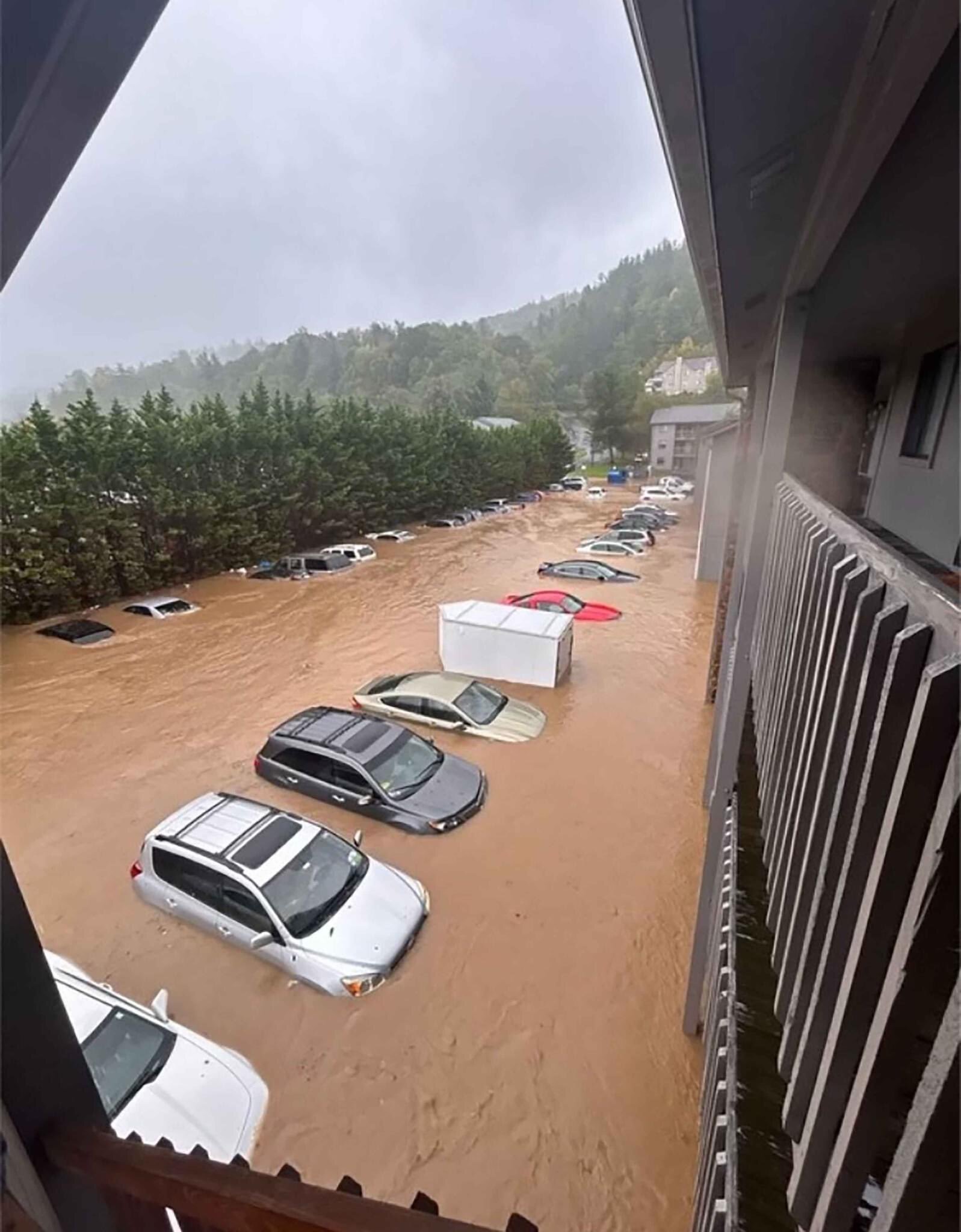 فاجعه طوفان هلین در آمریکا/ بیکفایتی مسئولان ثروتمندترین کشور جهان در رسیدگی به مشکلات مردم فاجعه طوفان هلین در آمریکا/ بیکفایتی مسئولان ثروتمندترین کشور جهان در رسیدگی به مشکلات مردم