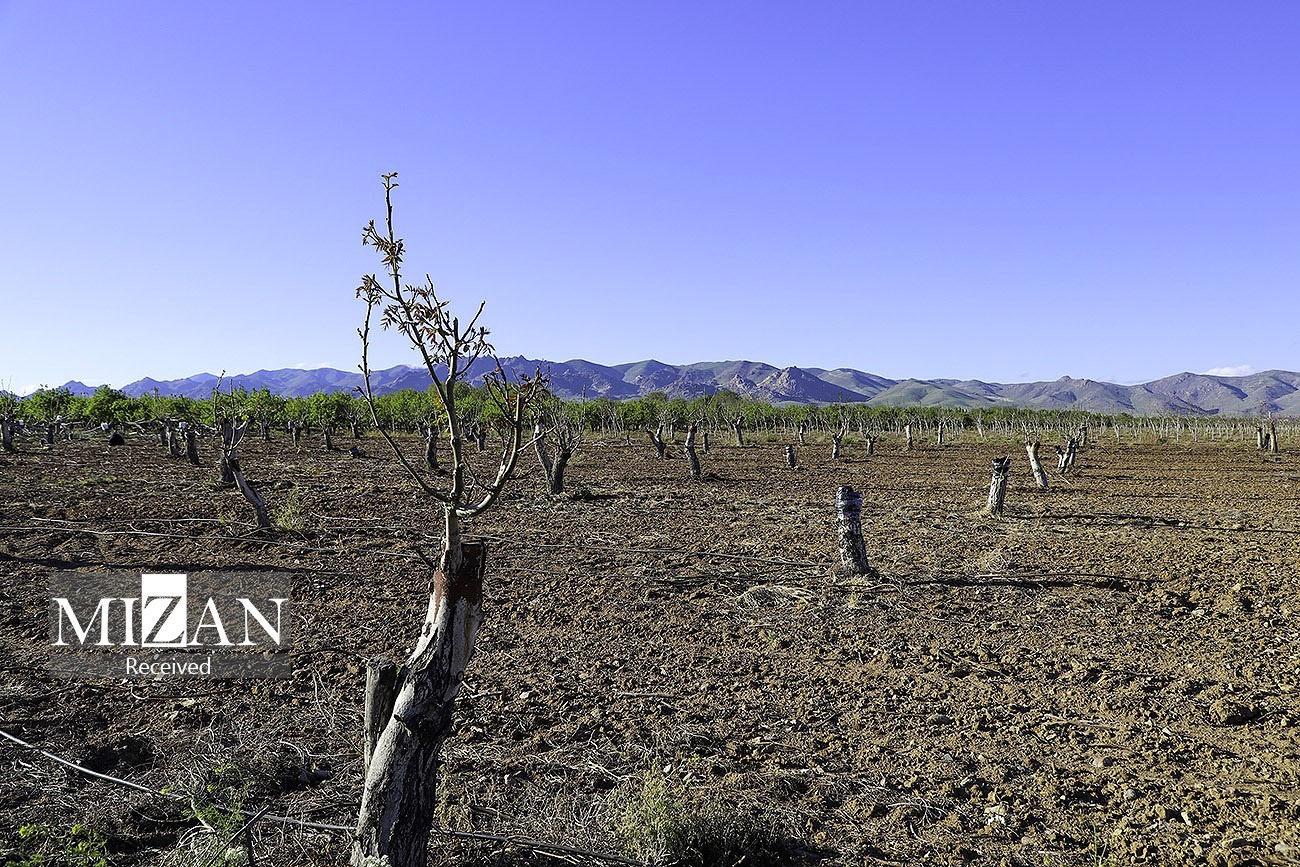 ورود دادگستری گلستان به مشکلات شرکت تعاونی سهامی زراعی ایثارگران ورود دادگستری گلستان به مشکلات شرکت تعاونی سهامی زراعی ایثارگران