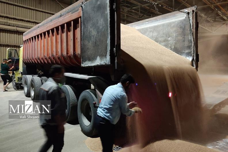 ترخیص ۶۶ هزار تن ذرت دامی از انبارهای بندر امام خمینی (ره) با دستور قضایی اخبار مهم