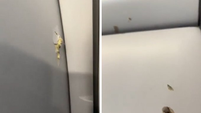 هواپیمای آمریکایی در هائیتی هدف تیراندازی قرار گرفت