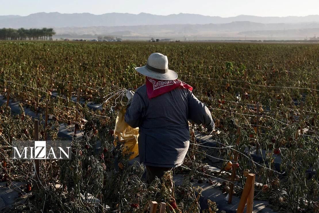 هشدار فعالان حقوق بشری در آمریکا؛ مهاجران نگران آینده مبهم خود هشدار فعالان حقوق بشری در آمریکا؛ مهاجران نگران آینده مبهم خود