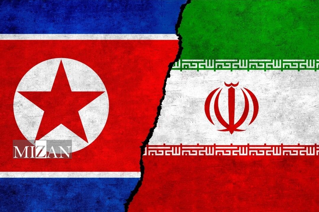 ایران - کره‌شمالی/ یوز‌ها در آستانه رستگاری؛ کره به دنبال پایان حسرت‌ها