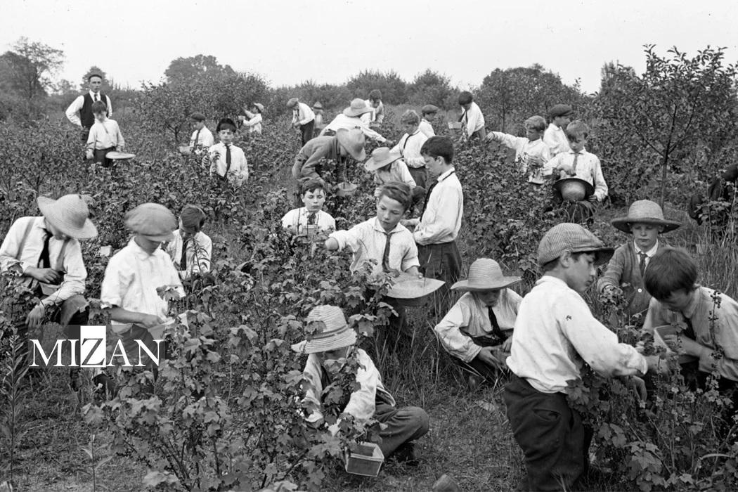 انتخابات ریاستجمهوری ۲۰۲۴ آمریکا و چالشهای حقوق بشری داخلی انتخابات ریاستجمهوری ۲۰۲۴ آمریکا و چالشهای حقوق بشری داخلی