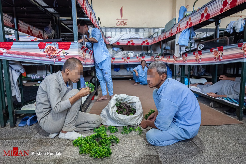 خیز عدلیه جهت اشتغال صنعتی زندانیان/ ۹۹۶ گواهینامه آموزش فنی حرفه‌ای برای زندانیان استان زنجان صادر شده است/ پرداخت ۱۵ میلیارد تومان به زندانیان زنجانی شاغل