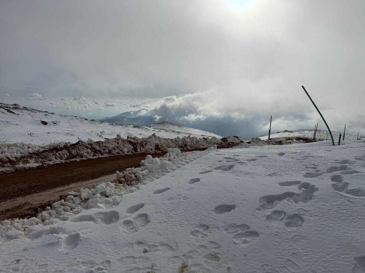 واکنش‌ها به سقوط حکومت بشار اسد؛ کرملین خواستار جلوگیری از اقدام‌های خشونت‌آمیز شد