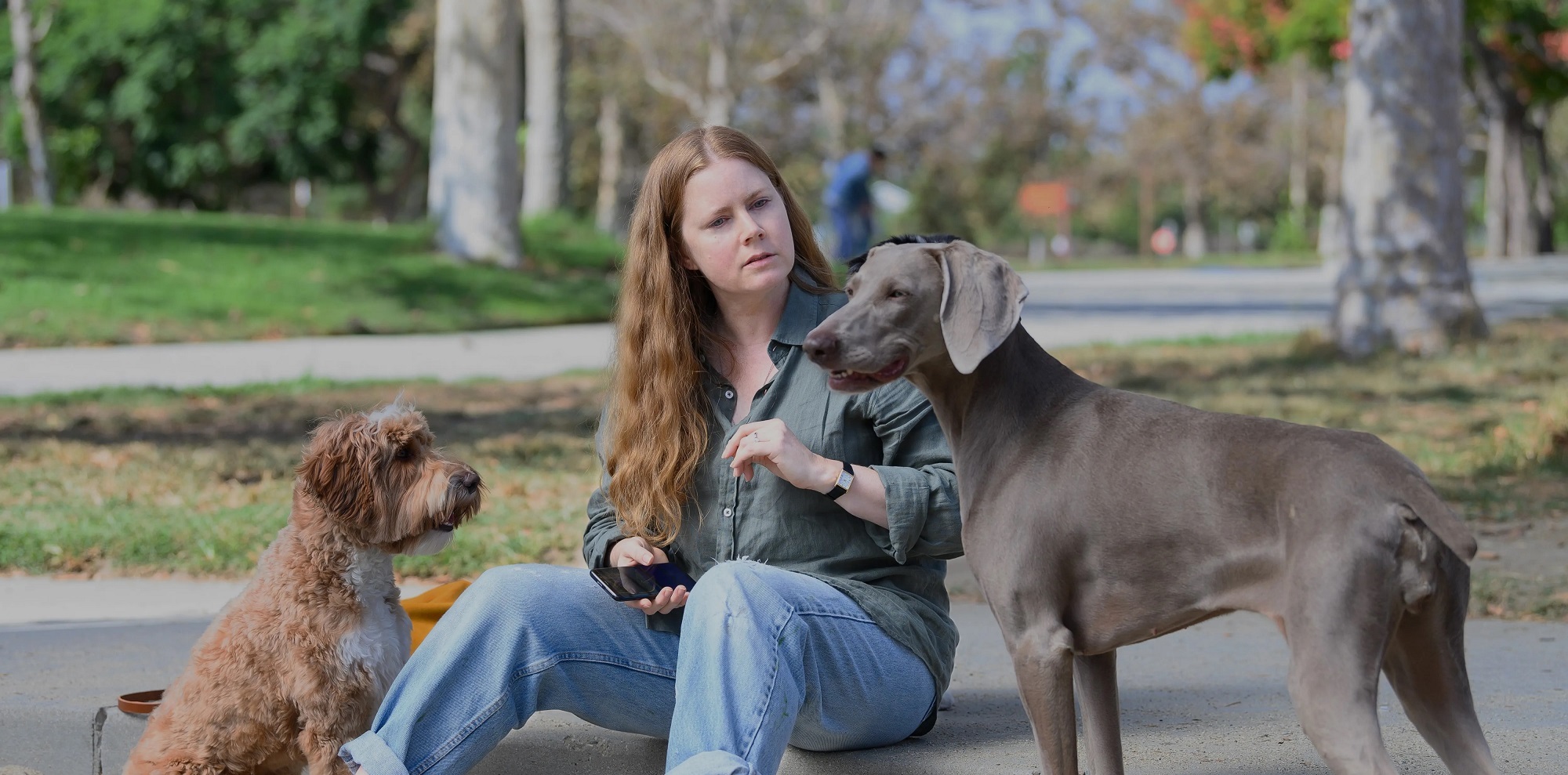 اخبار هالیوود | معرفی «سگ شب»/ روکوردشکنی سریال «صلیب»/ «کریون شکارچی» بدترین فیلم ابرقهرمانی