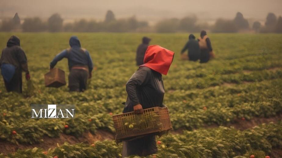 آغوش باز مسیرهای مرگ پیش روی مهاجران آغوش باز مسیرهای مرگ پیش روی مهاجران