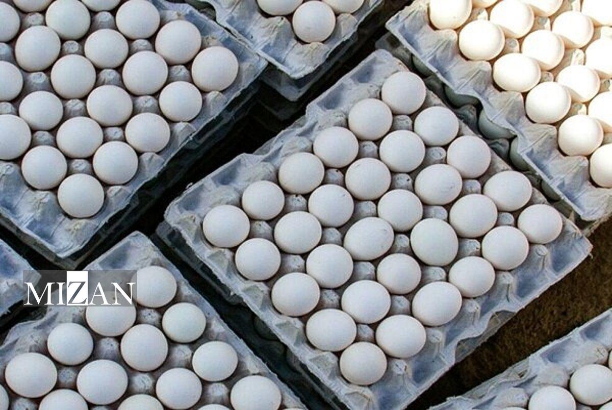 قیمت انواع تخم مرغ پوست سفید اعلام شد
