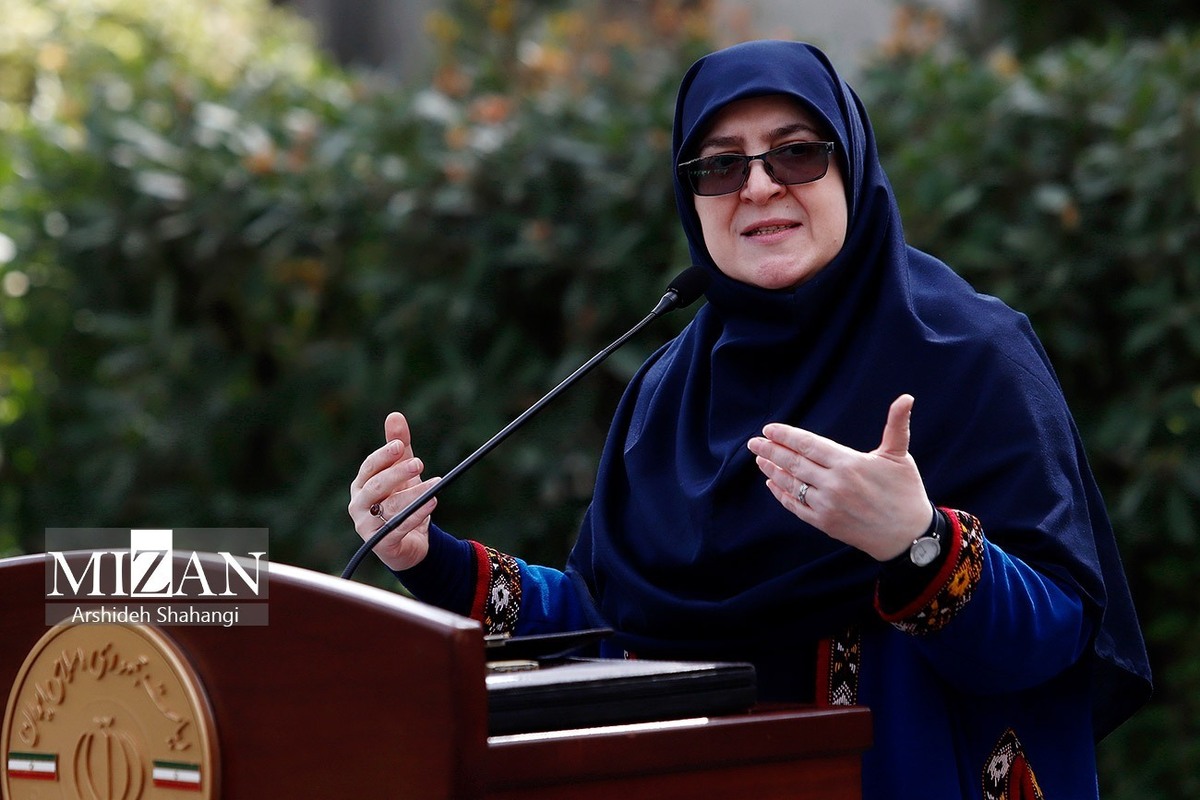 مهاجرانی: دولت از افزایش قیمت دلار سود نمی‌برد