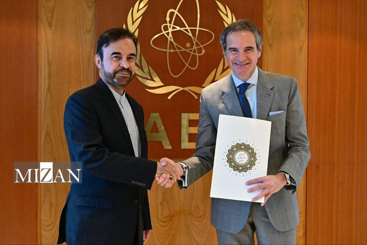 دیدار سفیر و نماینده دائم جدید ایران نزد آژانس بین‌المللی انرژی اتمی با گروسی