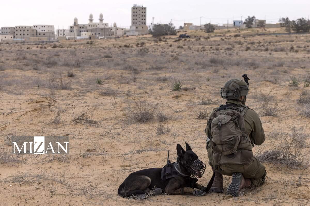 هلند تامین‌کننده سگ‌های نظامی برای جنایت‌های رژیم صهیونیستی علیه مردم فلسطین