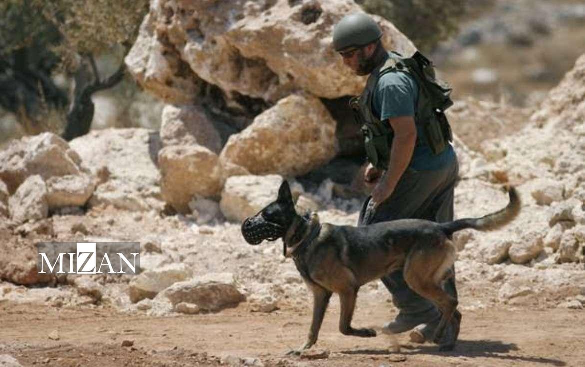 هلند تامین‌کننده سگ‌های نظامی برای جنایت‌های رژیم صهیونیستی علیه مردم فلسطین
