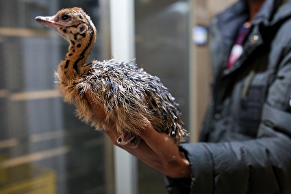 اولین روز پانزدهمین تور نظارتی قوه قضاییه