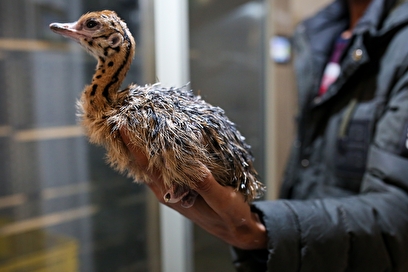 اولین روز پانزدهمین تور نظارتی قوه قضاییه