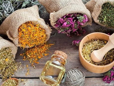 آنچه باید از تاثیر اقلیم بر انتخاب مواد غذایی بدانیم؛ بخشی از خوراکی‌های مفید در شمال یا جنوب ایران برای یک تهرانی مضر است