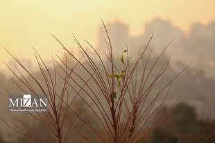 کیفیت هوای پایتخت ۴ دی ۱۴۰۴؛ شاخص آلودگی ۱۵۲ و در وضعیت «ناسالم» برای همه افراد