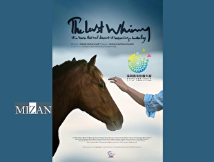 راهیابی «آخرین شیهه...» به جشنواره شنژن چین/ نامزدی جایزه بهترین فیلم‌برداری