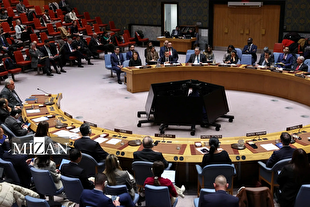 محکومیت گسترده اقدام رژیم صهیونیستی درباره سومالی‌لند؛ شورای امنیت نشست اضطراری برگزار می‌کند