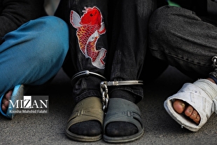 انهدام باند کلاهبرداری ۳۰۰ میلیاردی پیش‌فروش خودرو