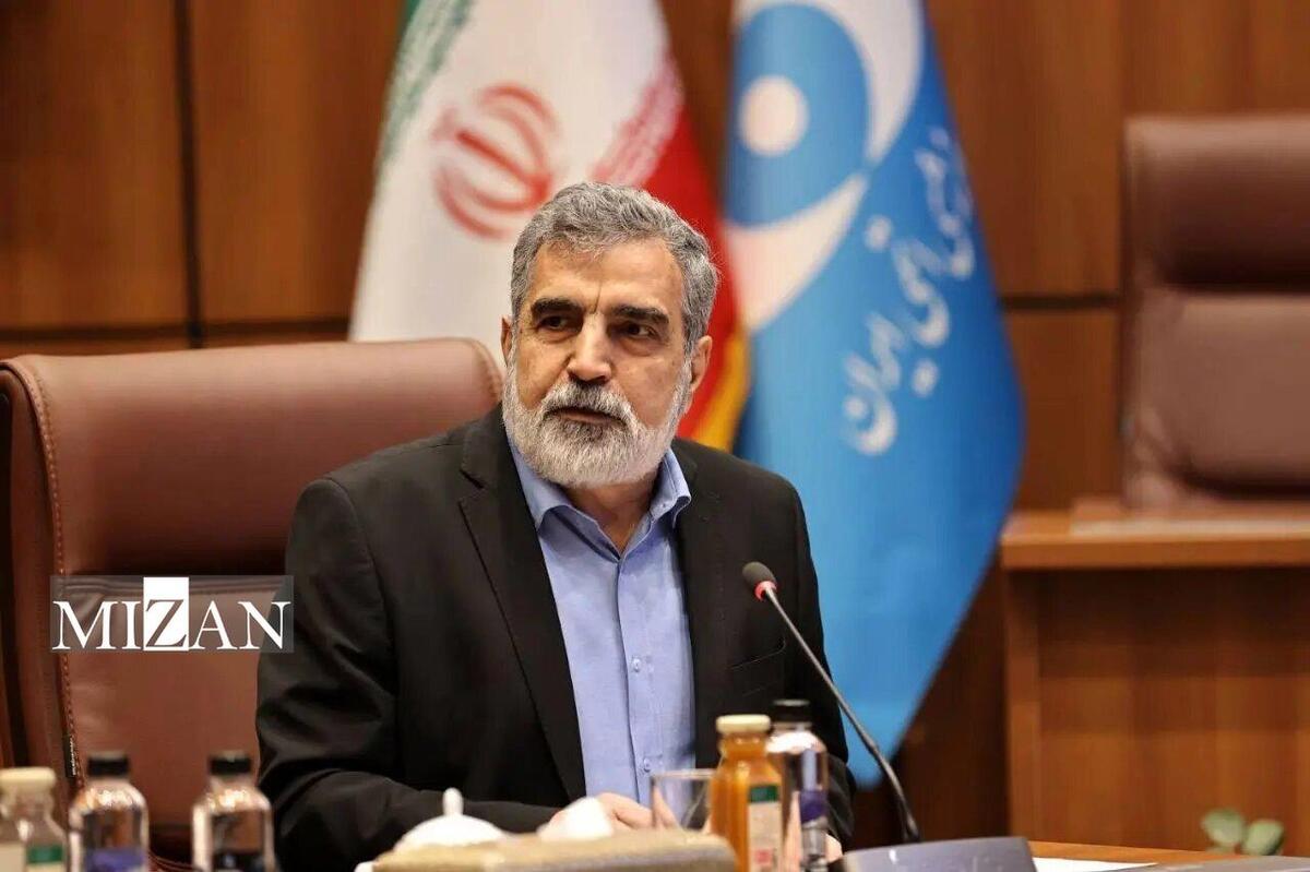 تشریح سه دستاورد مهم هسته‌ای در کمیسیون امنیت ملی مجلس