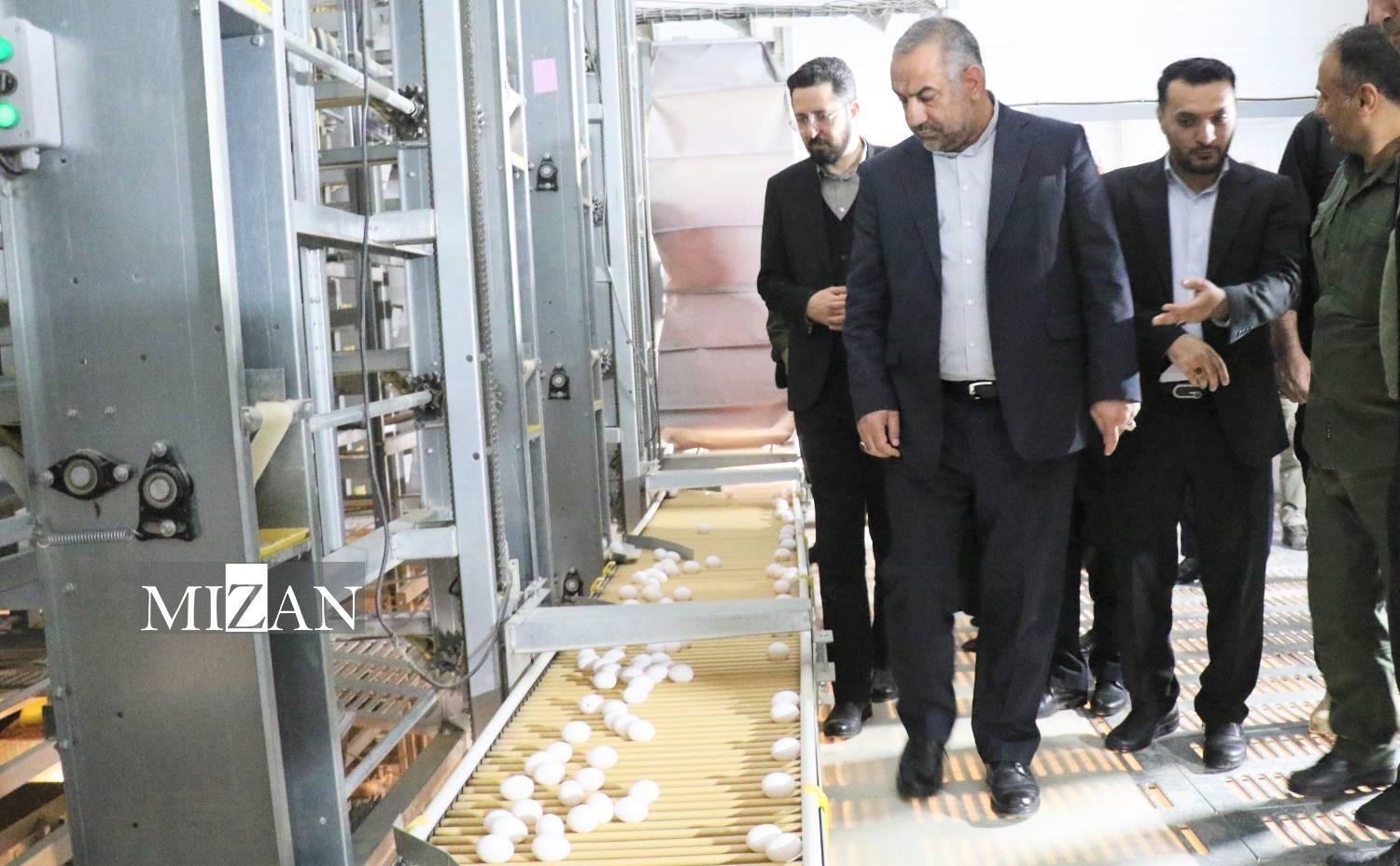 واحد تولید تخم مرغ در استان گلستان سهم ۳۳ درصدی از تولید تخممرغ کشور با حمایت دادگستری/ ۸۰ تُن افزایش تولید روزانه و ۴۸۰ شغل جدید؛ نتیجه ورود میدانی دستگاه قضا به تولید