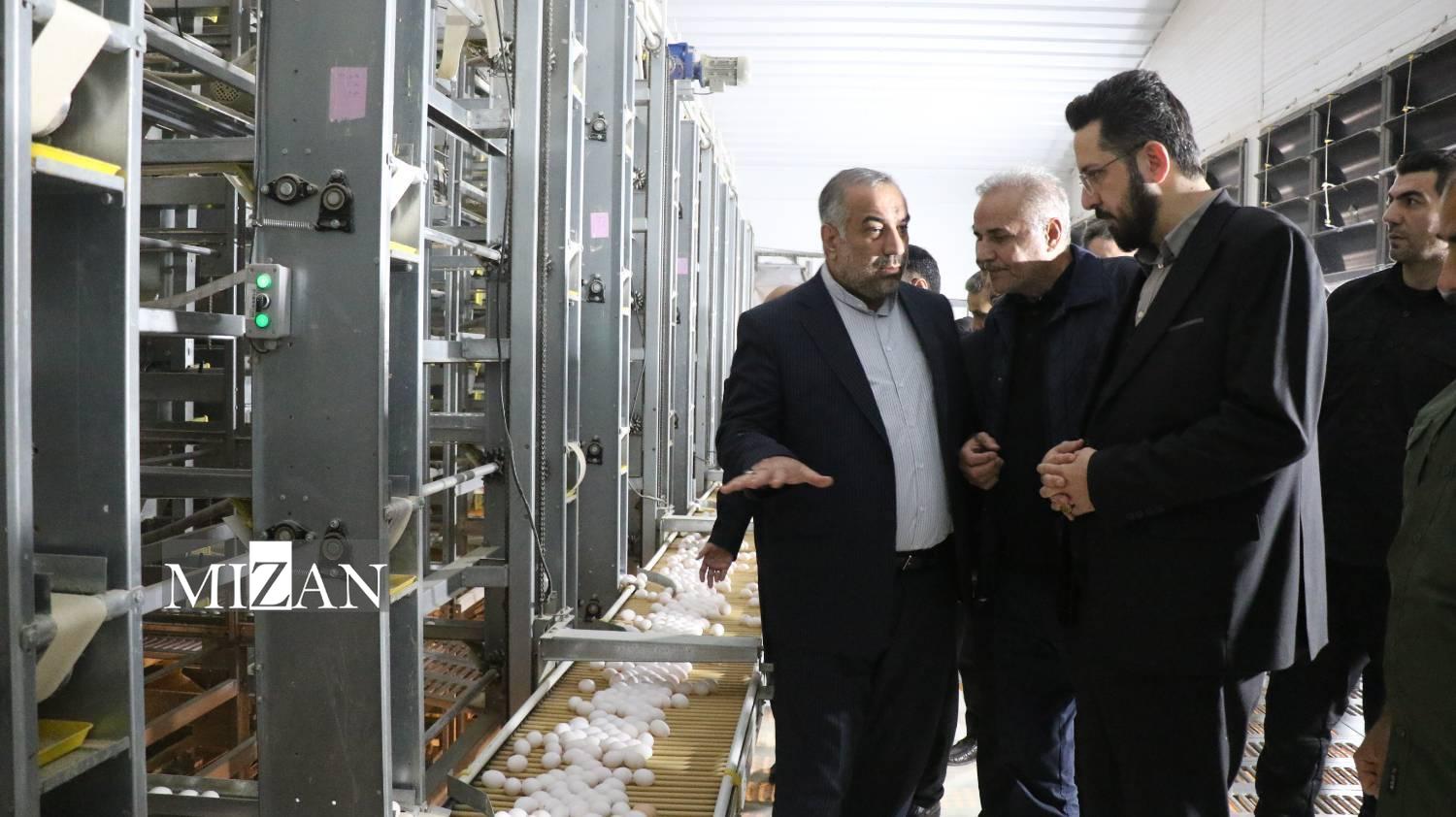 بازدید از واحد تولید تخم مرغ در گلستان سهم ۳۳ درصدی از تولید تخممرغ کشور با حمایت دادگستری/ ۸۰ تُن افزایش تولید روزانه و ۴۸۰ شغل جدید؛ نتیجه ورود میدانی دستگاه قضا به تولید