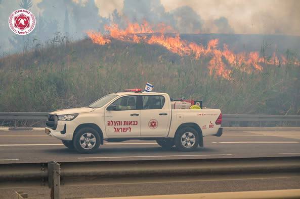 آتش‌سوزی گسترده در  قدس اشغالی؛ بخش زیادی از مناطق جنگلی طعمه حریق شد