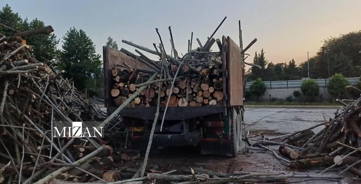دادستان آمل: سه نفر از قاچاقچیان چوب دستگیر شدند