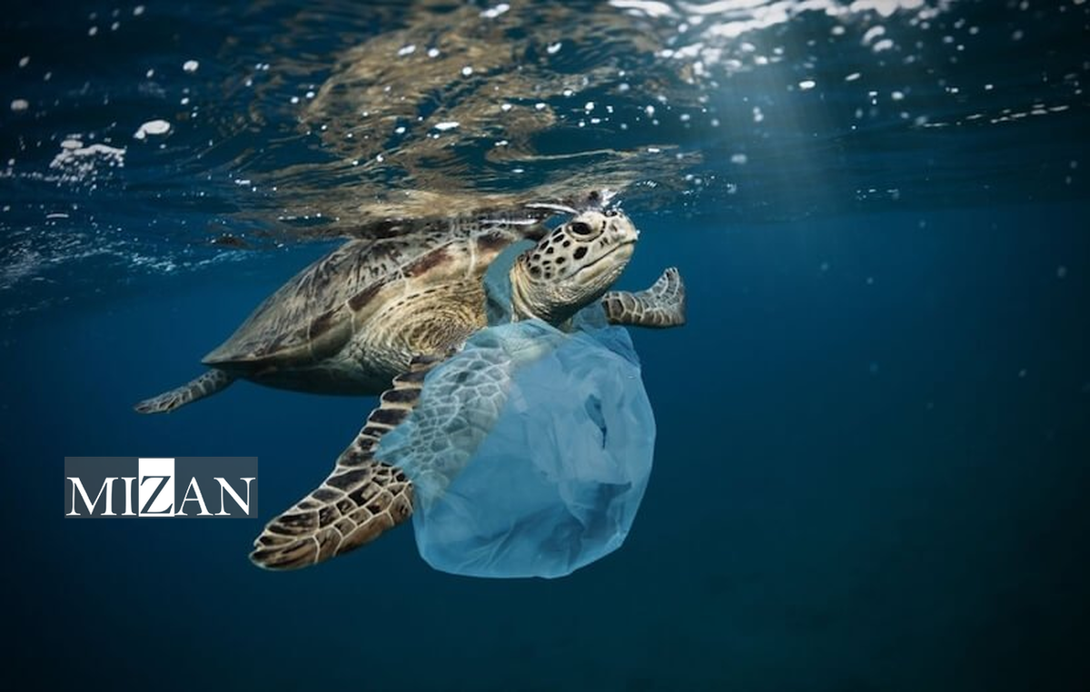 الزام سازمان محیط‌زیست به تدوین آیین‌نامه ملی هماهنگی معاهده منع آلودگی پلاستیکی