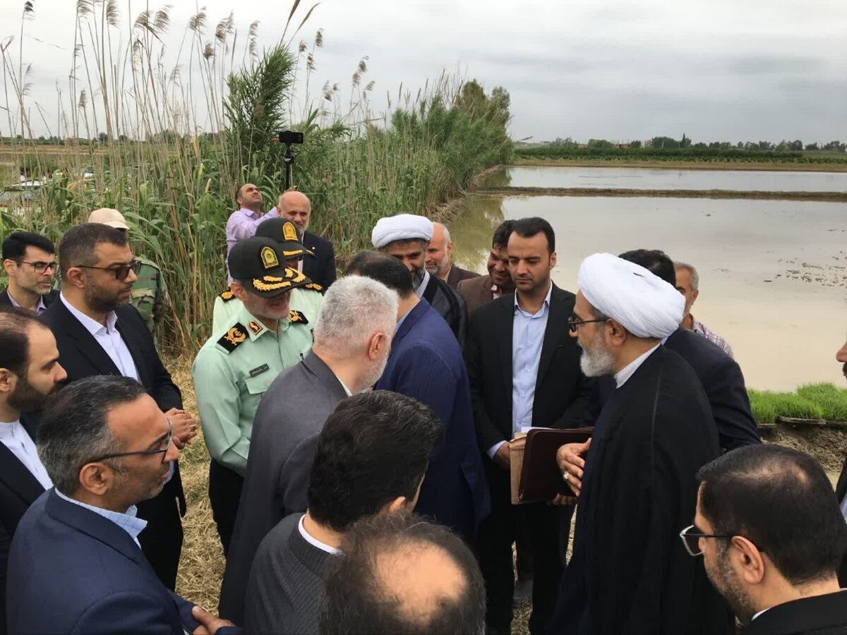 رئیس سازمان قضایی نیرو‌های مسلح: با دلالان و مفسدان در بازار برنج برخورد می‌کنیم