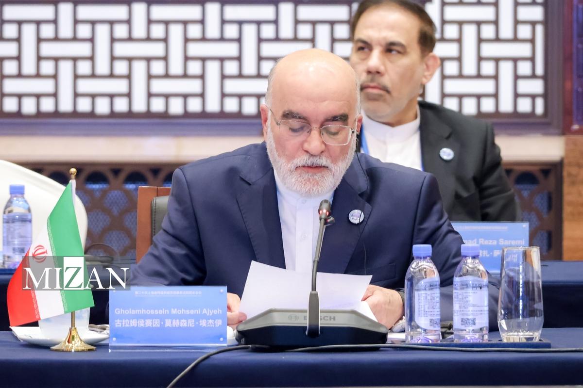 معاون امور بینالملل قوه قضاییه: ایران قربانی بزرگ تروریسم است/ همکاریهای قضایی، منطقهای و بینالمللی برای مبارزه با تروریسم تقویت شود