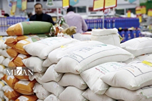 حقوق گمرکی کالا‌های اساسی در سال ۱۴۰۴/ مصوبه دولت برای حمایت از واردات دارو، نهاده‌ها و شیرخشک